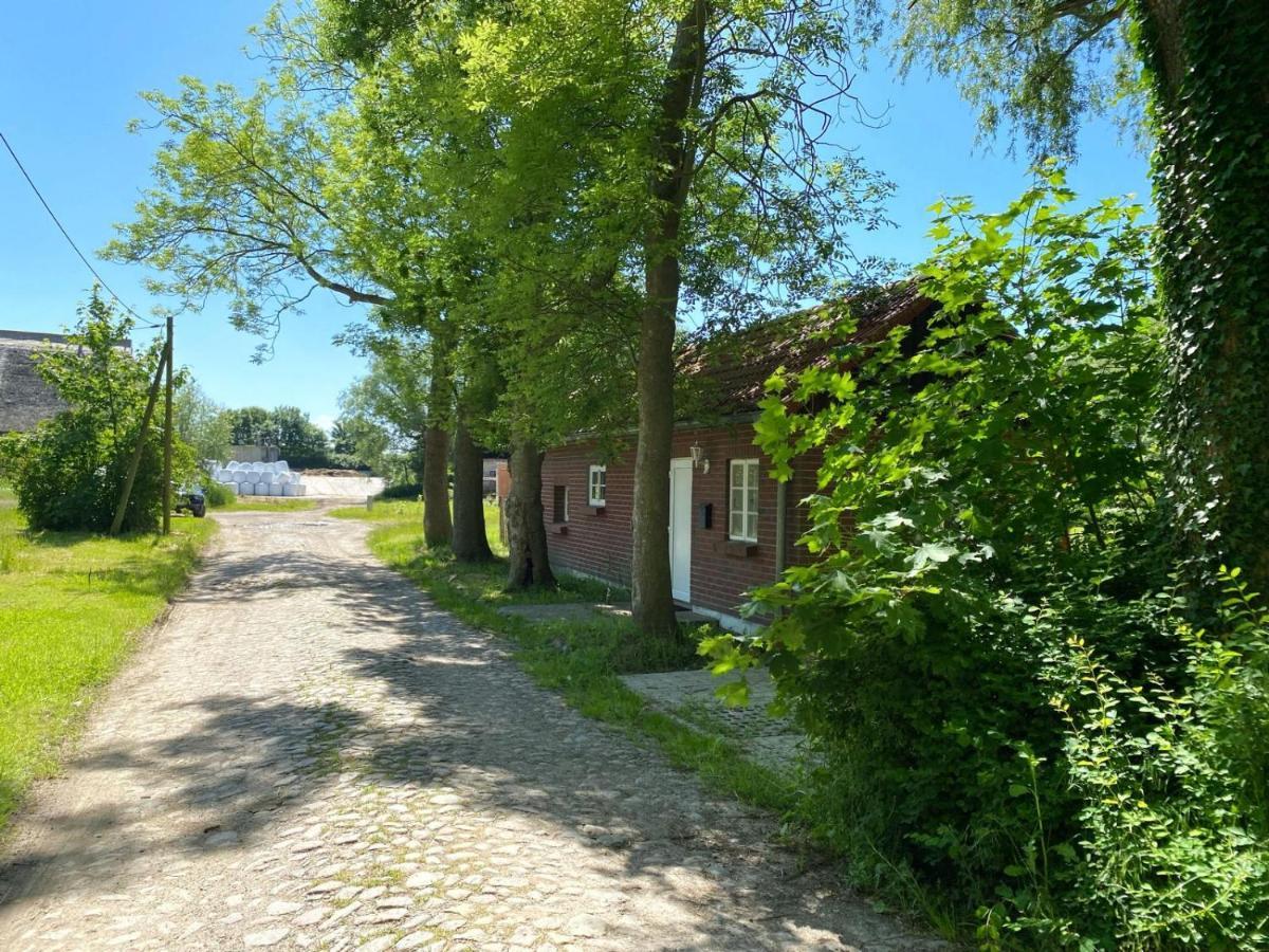 Hofgut Bisdamitz - Ferienhaus "Knoff" Exterior photo
